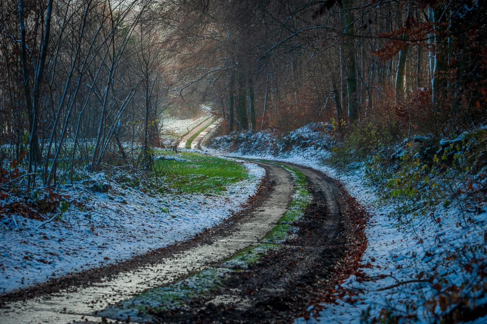 Dworek Atrium Tomaszów Lubelski Dış mekan fotoğraf